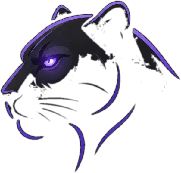 VantaVPN — black panther brand mascot